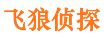 汇川捉小三公司